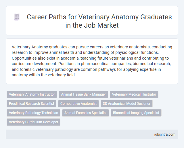 Career Paths for Veterinary Anatomy Graduates in the Job Market
