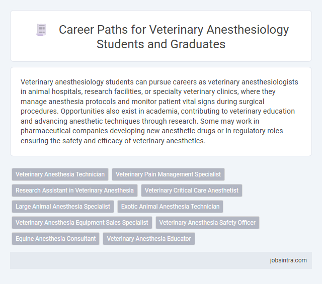Career Paths for Veterinary Anesthesiology Students and Graduates