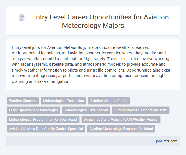 Entry Level Career Opportunities for Aviation Meteorology Majors