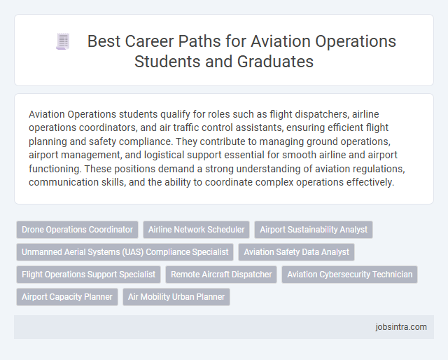 Best Career Paths for Aviation Operations Students and Graduates