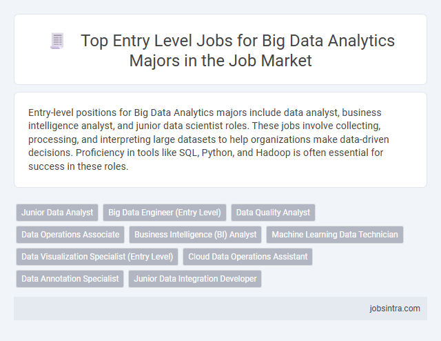 Top Entry Level Jobs for Big Data Analytics Majors in the Job Market