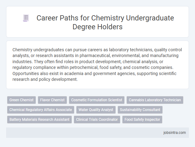 Career Paths for Chemistry Undergraduate Degree Holders