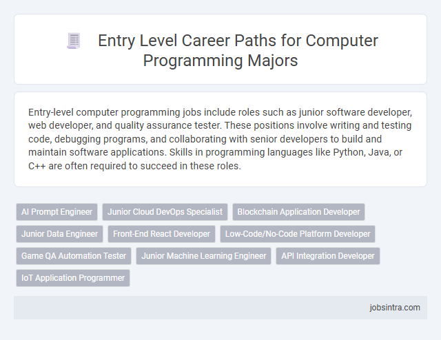Entry Level Career Paths for Computer Programming Majors