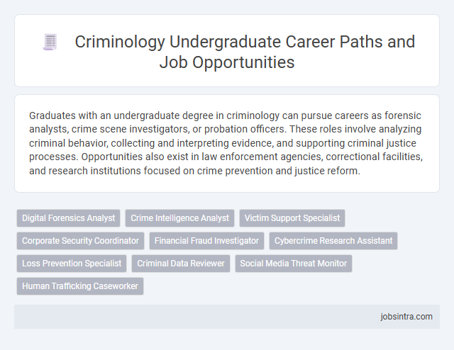 Criminology Undergraduate Career Paths and Job Opportunities