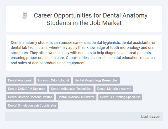 Career Opportunities for Dental Anatomy Students in the Job Market