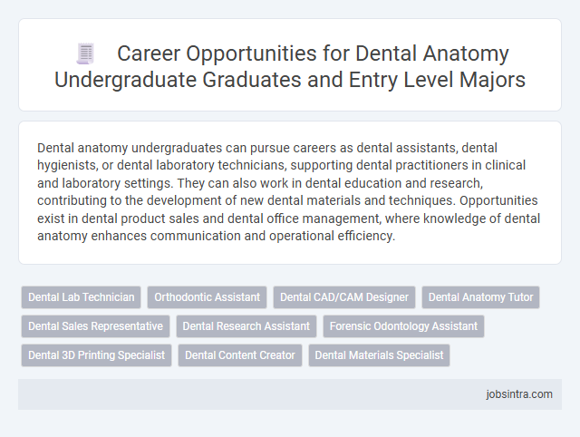 Career Opportunities for Dental Anatomy Undergraduate Graduates and Entry Level Majors