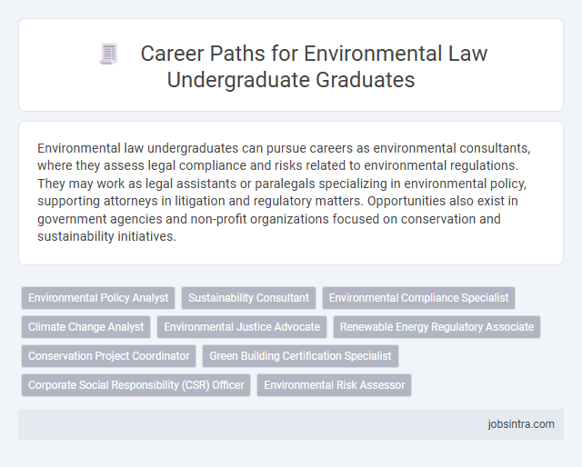 Career Paths for Environmental Law Undergraduate Graduates