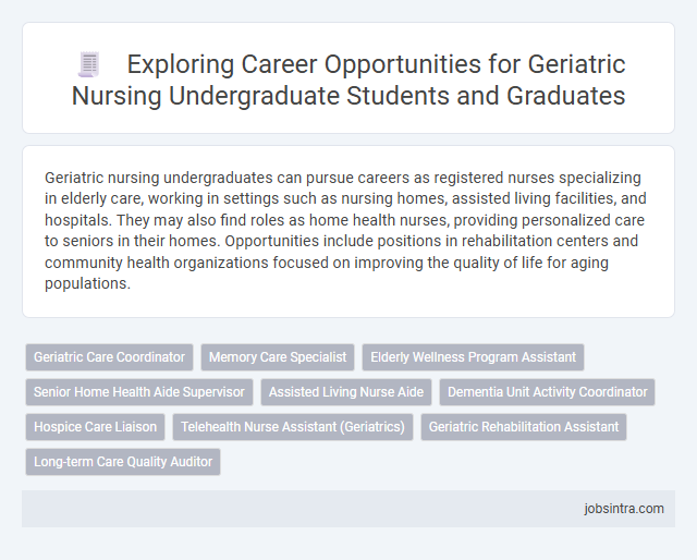 Exploring Career Opportunities for Geriatric Nursing Undergraduate Students and Graduates