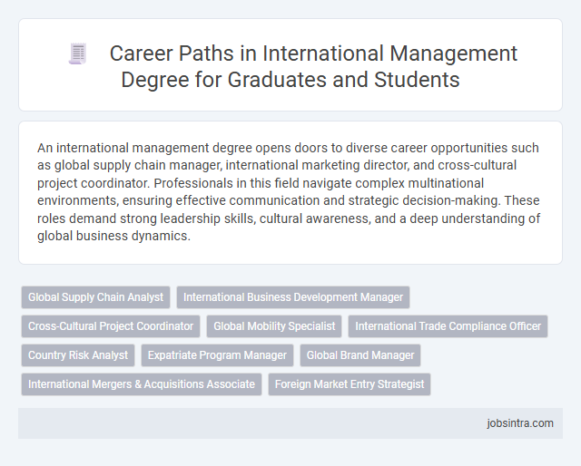 Career Paths in International Management Degree for Graduates and Students