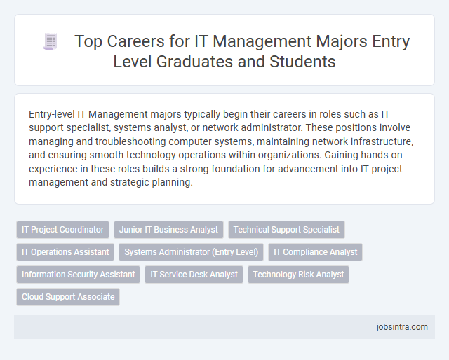 Top Careers for IT Management Majors Entry Level Graduates and Students