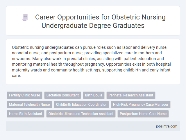 Career Opportunities for Obstetric Nursing Undergraduate Degree Graduates