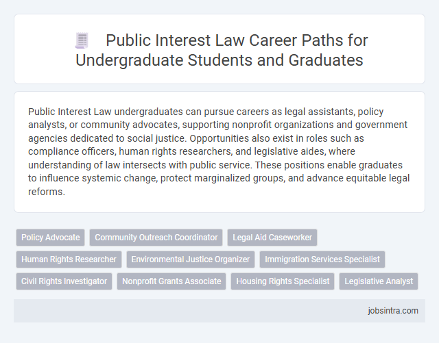 Public Interest Law Career Paths for Undergraduate Students and Graduates