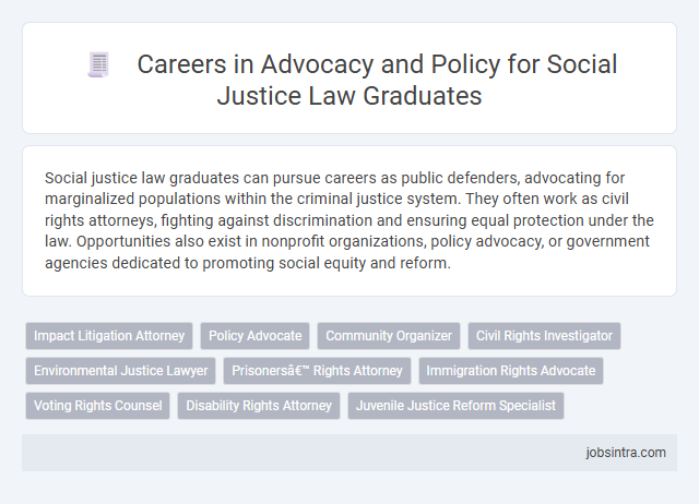 Careers in Advocacy and Policy for Social Justice Law Graduates