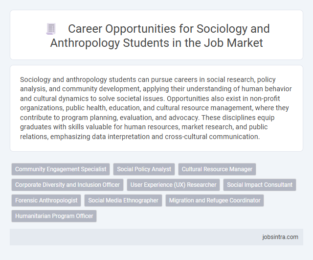 Career Opportunities for Sociology and Anthropology Students in the Job Market