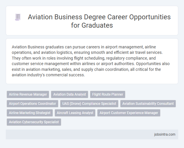 Aviation Business Degree Career Opportunities for Graduates