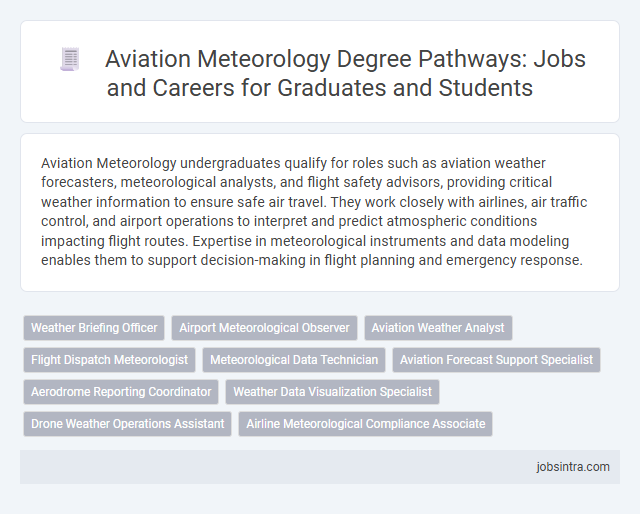 Aviation Meteorology Degree Pathways: Jobs and Careers for Graduates and Students