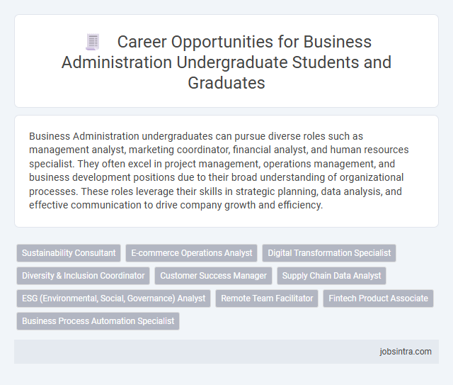 Career Opportunities for Business Administration Undergraduate Students and Graduates