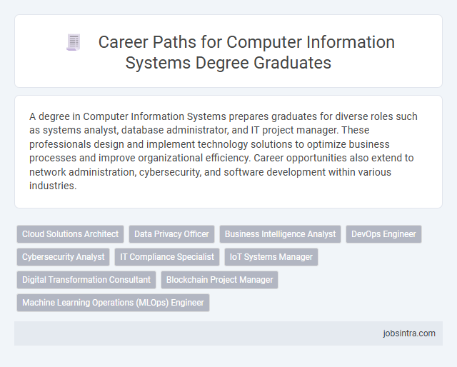 Career Paths for Computer Information Systems Degree Graduates