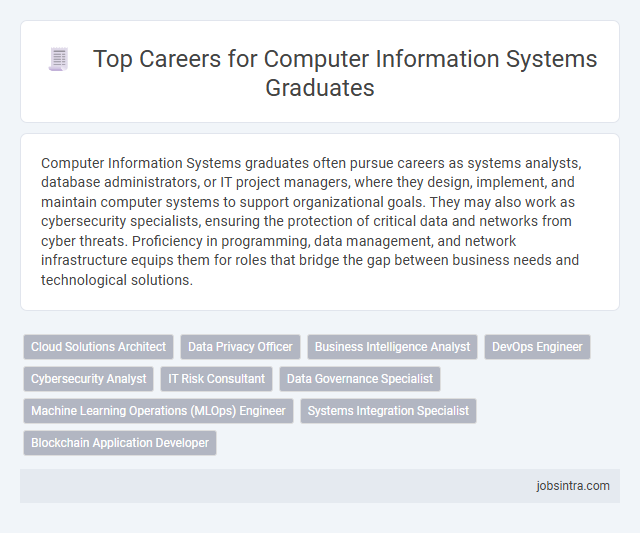 Top Careers for Computer Information Systems Graduates