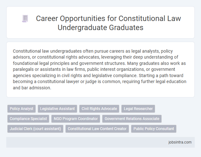 Career Opportunities for Constitutional Law Undergraduate Graduates