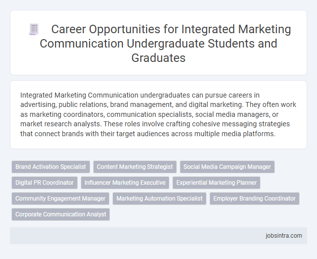 Career Opportunities for Integrated Marketing Communication Undergraduate Students and Graduates