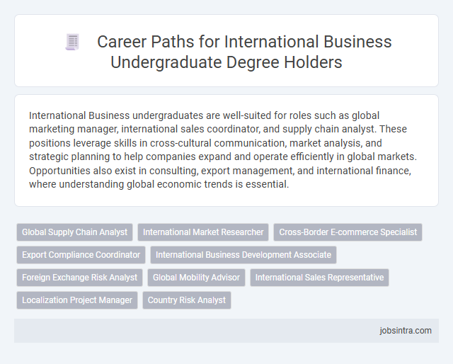 Career Paths for International Business Undergraduate Degree Holders