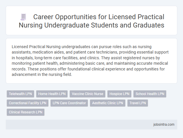Career Opportunities for Licensed Practical Nursing Undergraduate Students and Graduates