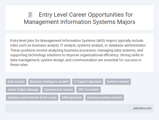 Entry Level Career Opportunities for Management Information Systems Majors