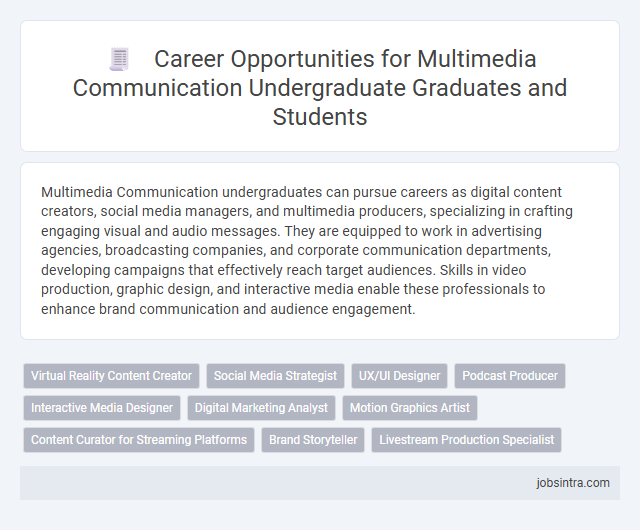 Career Opportunities for Multimedia Communication Undergraduate Graduates and Students