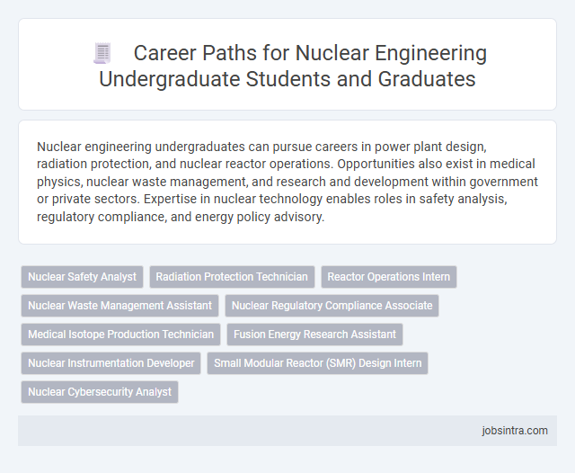 Career Paths for Nuclear Engineering Undergraduate Students and Graduates