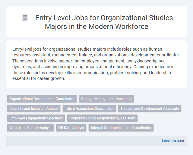 Entry Level Jobs for Organizational Studies Majors in the Modern Workforce