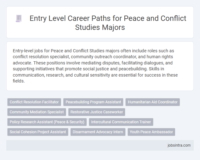 Entry Level Career Paths for Peace and Conflict Studies Majors