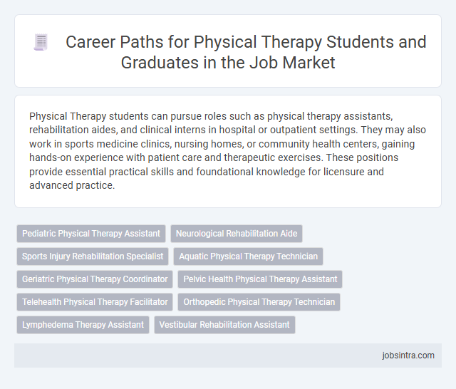 Career Paths for Physical Therapy Students and Graduates in the Job Market