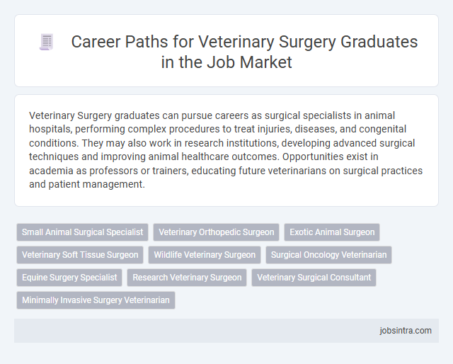 Career Paths for Veterinary Surgery Graduates in the Job Market
