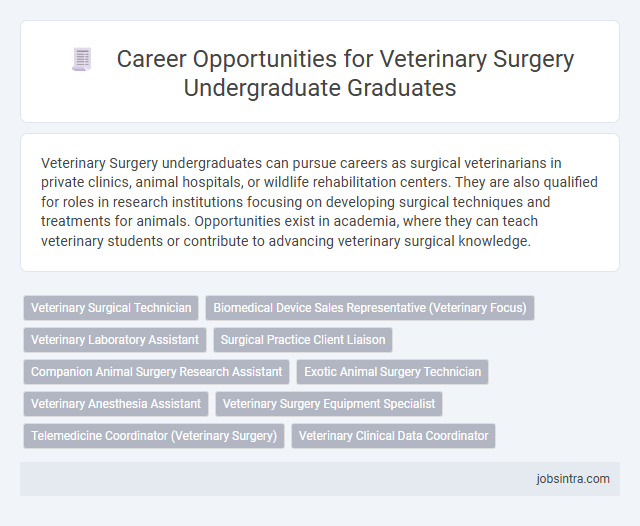 Career Opportunities for Veterinary Surgery Undergraduate Graduates