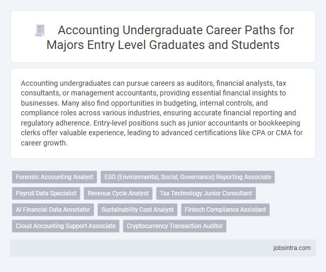Accounting Undergraduate Career Paths for Majors Entry Level Graduates and Students