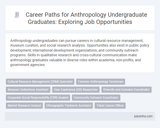 Career Paths for Anthropology Undergraduate Graduates: Exploring Job Opportunities