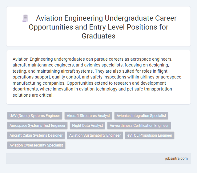 Aviation Engineering Undergraduate Career Opportunities and Entry Level Positions for Graduates