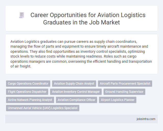 Career Opportunities for Aviation Logistics Graduates in the Job Market