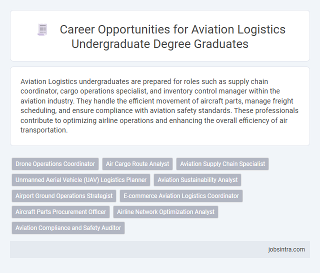 Career Opportunities for Aviation Logistics Undergraduate Degree Graduates