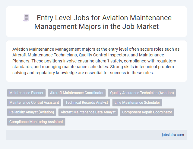 Entry Level Jobs for Aviation Maintenance Management Majors in the Job Market