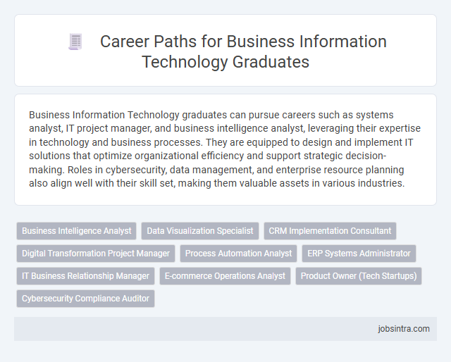 Career Paths for Business Information Technology Graduates