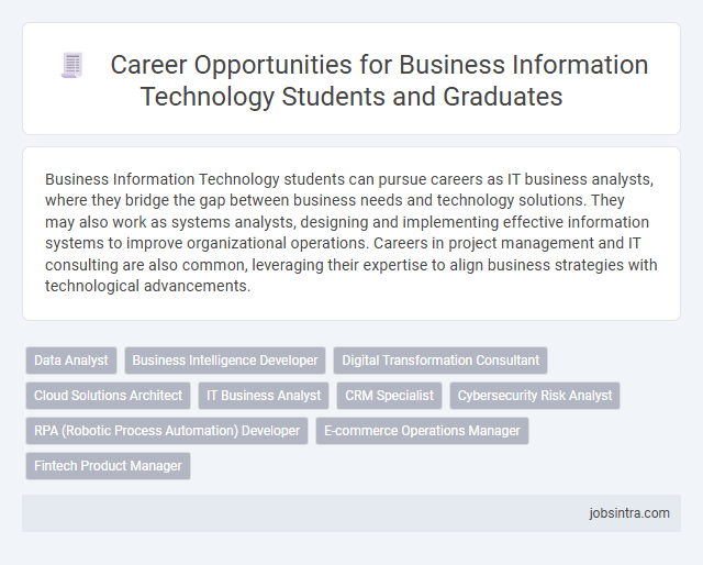 Career Opportunities for Business Information Technology Students and Graduates