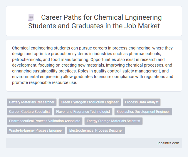 Career Paths for Chemical Engineering Students and Graduates in the Job Market