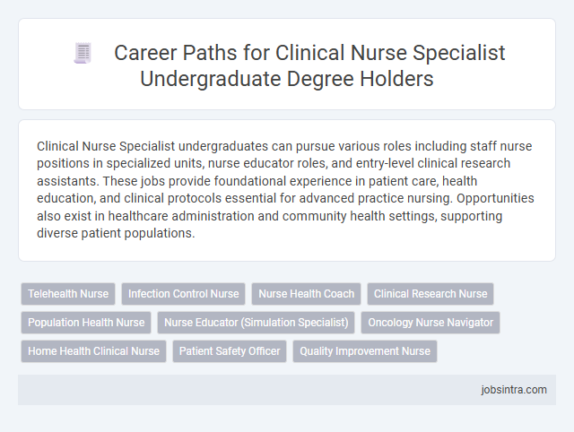 Career Paths for Clinical Nurse Specialist Undergraduate Degree Holders