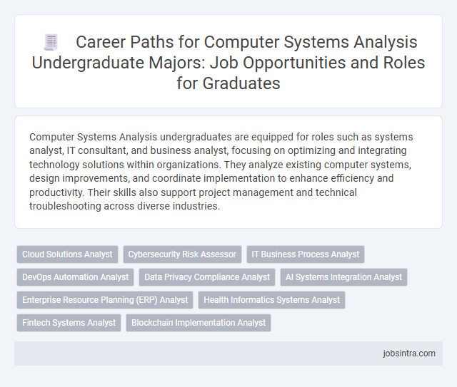 Career Paths for Computer Systems Analysis Undergraduate Majors: Job Opportunities and Roles for Graduates