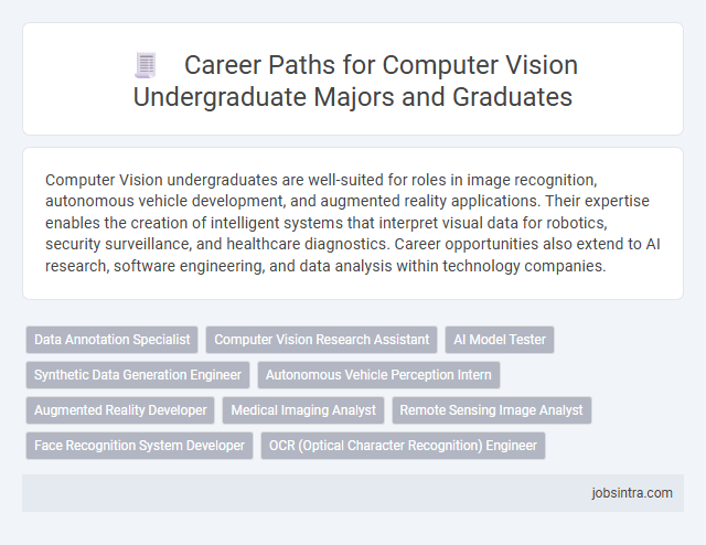 Career Paths for Computer Vision Undergraduate Majors and Graduates