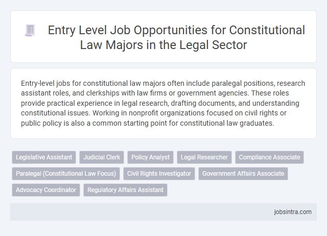 Entry Level Job Opportunities for Constitutional Law Majors in the Legal Sector