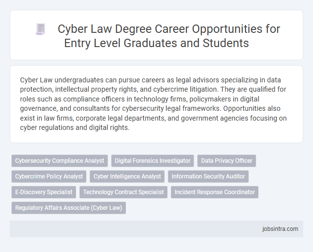 Cyber Law Degree Career Opportunities for Entry Level Graduates and Students