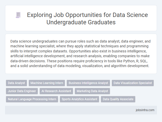 Exploring Job Opportunities for Data Science Undergraduate Graduates